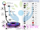 360-Platform-Infinty-Photoboothfactory-398766826.jpg